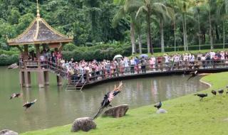 云南西双版纳旅游