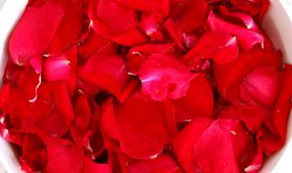 自制柔肤水 自制柔肤水