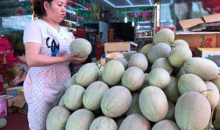 鄯善哈密瓜 鄯善哈密瓜