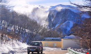 电影东北恋歌免费观看 电影东北恋歌免费观看